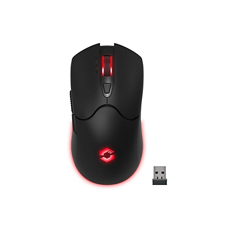 Schwarze kabellose Gaming-Maus mit rot leuchtendem Logo und Mausrad, daneben ein USB-Empfänger.