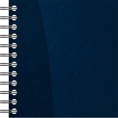 Blaues Notizbuch mit Spiralbindung.