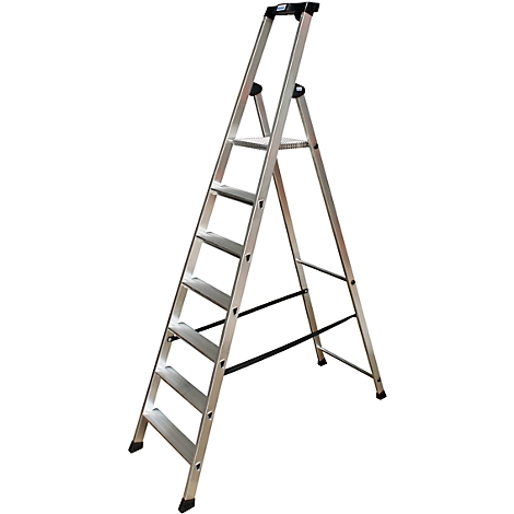 Aluminum ladder, six steps, freestanding, on a white background.