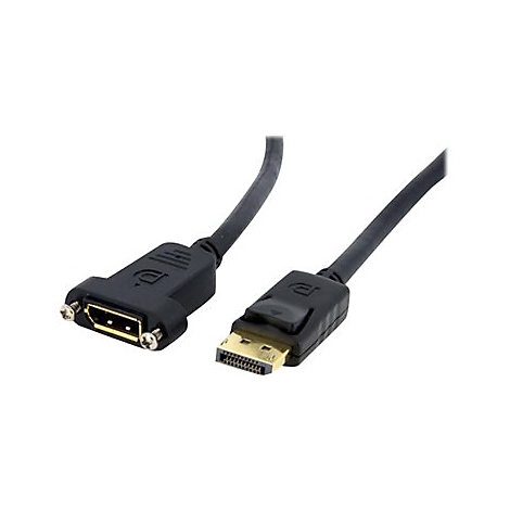 DisplayPort-Verlängerungskabel mit einer Buchse und einem Stecker vor weißem Hintergrund.