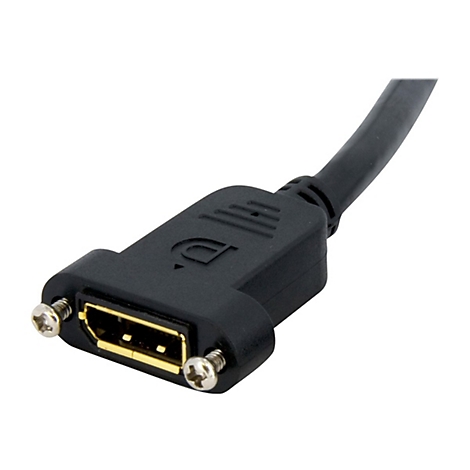 DisplayPort-Einbaubuchse in schwarzem Kunststoffgehäuse mit zwei seitlichen Montageschrauben.