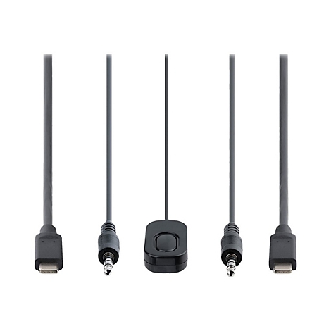 Alt texts API call disabled!