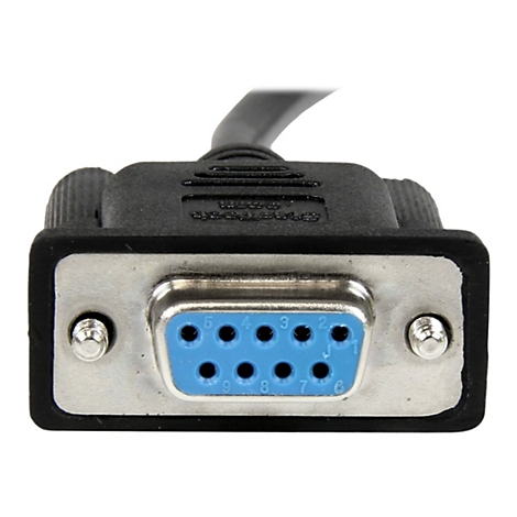 Nahaufnahme eines seriellen 9-Pin-D-Sub-Steckers mit blauen Pins. Der Stecker ist schwarz und silberfarben.