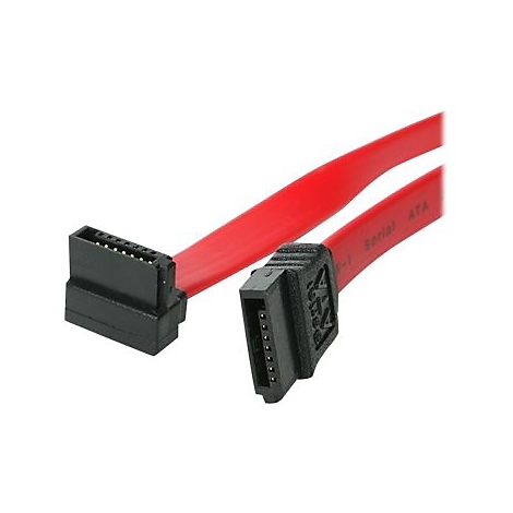 Rotes SATA-Datenkabel mit zwei schwarzen Steckern vor weißem Hintergrund.