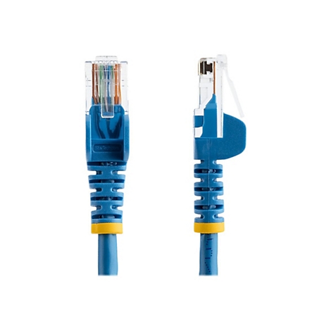Deux câbles Ethernet bleus, vue détaillée. Le connecteur est transparent, le câble a un marquage jaune.