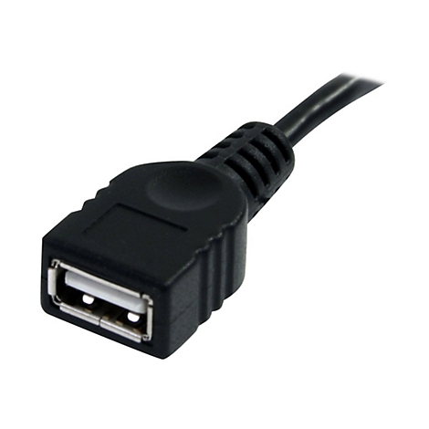Gros plan sur un connecteur USB noir avec intérieur blanc, relié à un câble noir.