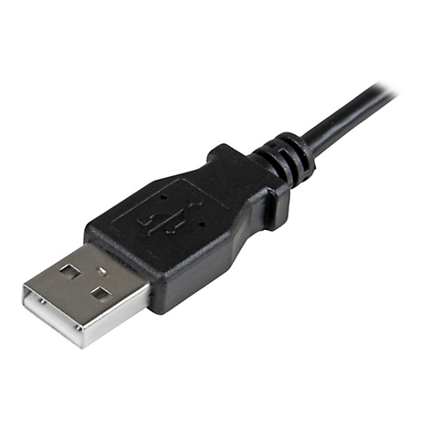 Gros plan d'un câble USB noir posé sur un fond blanc. La prise est montrée en détail.