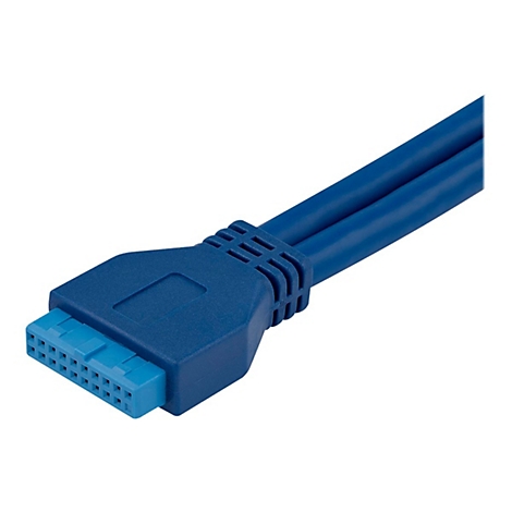 Vue détaillée d'un connecteur USB 3.0 bleu. Une extrémité a un connecteur à 20 broches, le câble est double.