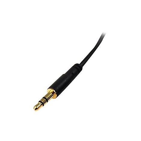 Nahaufnahme eines schwarzen 3,5-mm-Klinkensteckers mit goldenen Kontakten vor weißem Hintergrund.