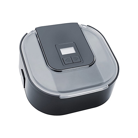 Elektrische Lunchbox in Dunkelgrau mit transparentem Deckel, Display und zwei Bedientasten auf weißem Grund.