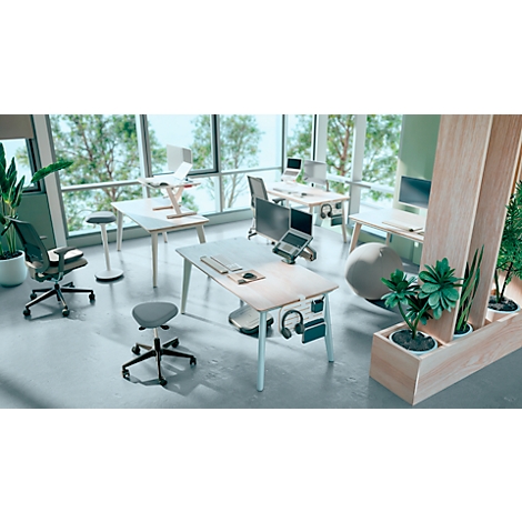 Büro-Szene mit Schreibtischen, Stühlen, Pflanzen und Fenstern mit Blick auf Bäume. Ein Laptop steht auf einem Tisch.