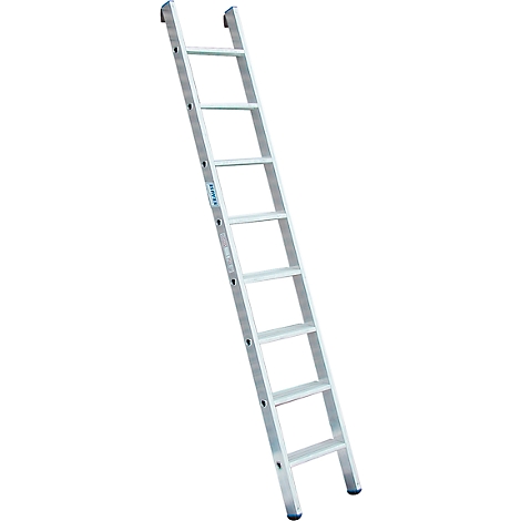 A silver ladder running diagonally from bottom left to top right. Dark screws are visible on the rungs and sides.