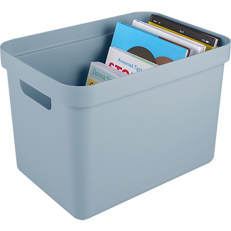 Light blue storage box with books. There is a handle on the box. Several books are partially visible in the box.