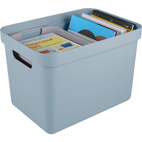 Light blue storage box with handles, filled with books, magazines, and a tablet. A book has the title "Opgeruimd huis".