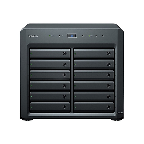 Schwarzes NAS-Gerät mit 12 Einschüben und Kontrollleuchten. Beschriftung: Synology, Status, Alert, Link.