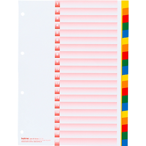Ring binder dividers with red tabs and numbers. Multi-colored page dividers for identification. On white paper.