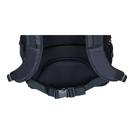 Detailaufnahme der Rückseite eines schwarzen Rucksacks mit gepolsterten Schultergurten und Rückenbelüftung. Sichtbar sind Schnallen und Gurtbänder.