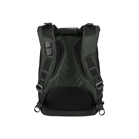 Dunkelgrüner Rucksack, Rückansicht. Gepolsterte Träger und Rücken, schwarze Details, Reißverschlüsse.