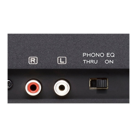 Rückseite eines Audiogeräts mit RCA-Anschlüssen (rot, weiß) und einem Phono-EQ-Schalter für Thru oder On.