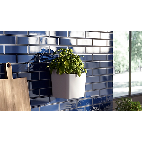 Un pot de basilic sur un mur bleu. A côté, une planche en bois.