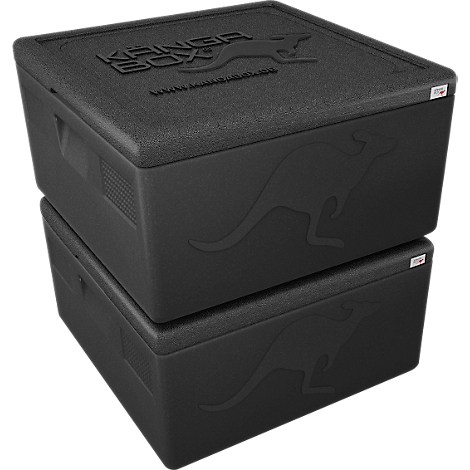 Zwei schwarze isolierte Kisten übereinander, mit Känguru-Logo und Schriftzug "Kanga Box".