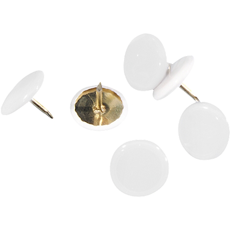 Close-up of white push pins with gold tips. Some lie flat, others are slightly angled.