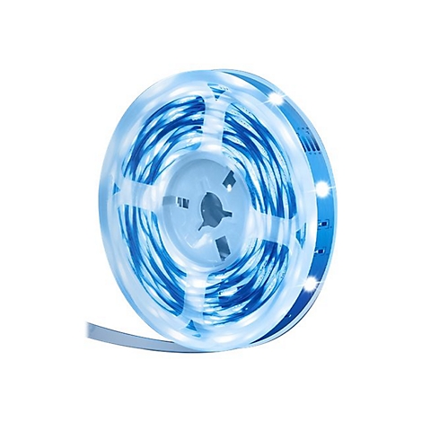 Aufgerollter LED-Lichtstreifen in Blau und Weiß vor weißem Hintergrund. Die einzelnen LEDs sind deutlich sichtbar.