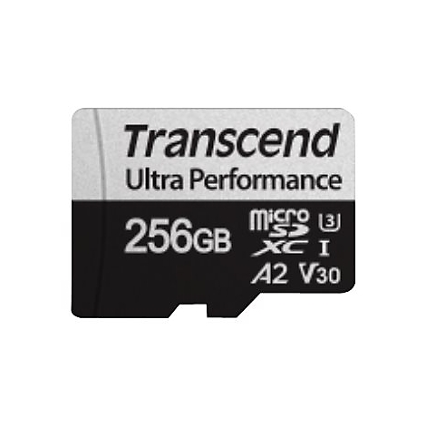 Schwarz-silberne Transcend microSD-Speicherkarte mit 256GB Kapazität auf weißem Grund.