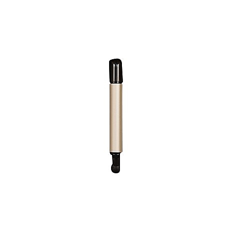 Ein zylindrischer Stift mit goldfarbenem Schaft und schwarzen Kappen an beiden Enden vor weißem Hintergrund.
