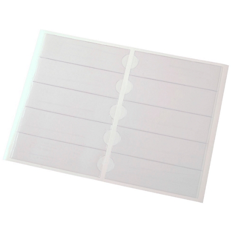 Transparent card sleeves set, interior with horizontal dividing lines and vertical binding strips.