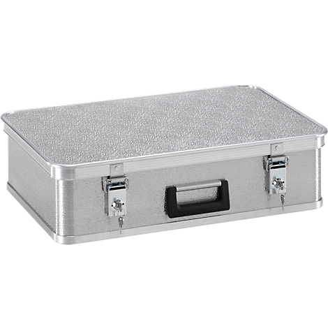 Silver toolbox with handle and two clasps.