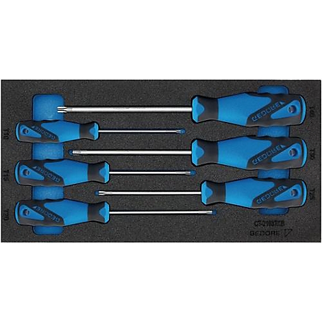 Boîte à outils avec des tournevis bleus et noirs. Les tournevis sont disposés dans un support.