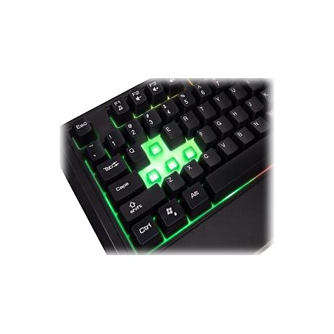 Nahaufnahme einer schwarzen Gaming-Tastatur mit grüner Beleuchtung um die Tasten herum. Die Buchstaben E, Q und Z leuchten grün.