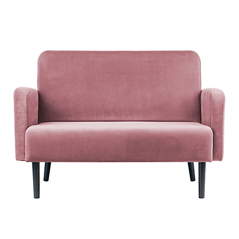 Roze fluwelen tweezitter, donkere poten, heldere studio.
