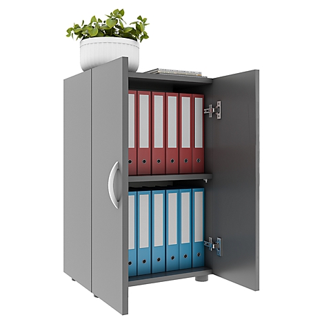 Gray filing cabinet with open doors. Plant on top, folders in red and blue inside.