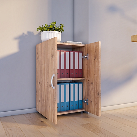 Open wooden cabinet with binders. Top: potted plant. Left: handle. Colors: brown, red, blue.