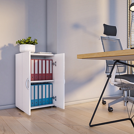 White file cabinet with open doors, filled with red and blue folders. A plant is on top.