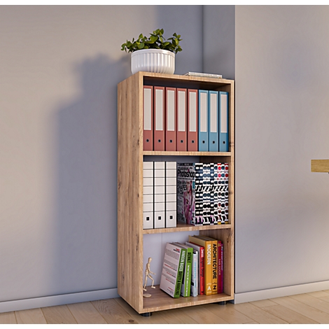 A brown bookcase with folders and books. On top is a plant in a white pot.