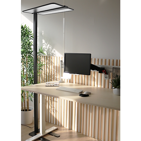 Modern in hoogte verstelbaar bureau met vloerlamp voor een wand van lichte houten latten.