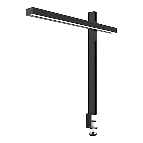 Zwarte klemlamp tegen een witte achtergrond. De lamp geeft wit licht.