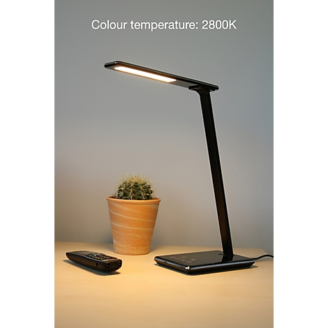 Schwarze LED-Schreibtischlampe leuchtet warmweiß auf einem Holztisch mit einem Kaktus im Topf.