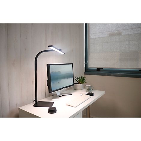 Schreibtisch mit Lampe, Monitor, Laptop und Pflanze. Helles Büro mit Fenster und Jalousie.