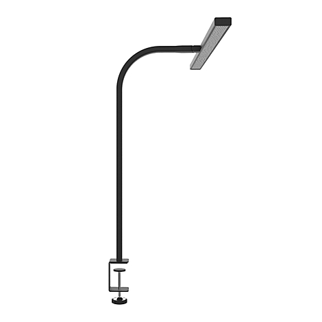 Schwarze LED-Tischklemme mit langem Arm und geradem Leuchtenkopf vor weißem Hintergrund.