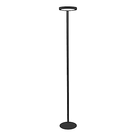 Zwarte vloerlamp, strak en minimalistisch. Ronde bovenkant, ovale voet, lange steel ertussen.
