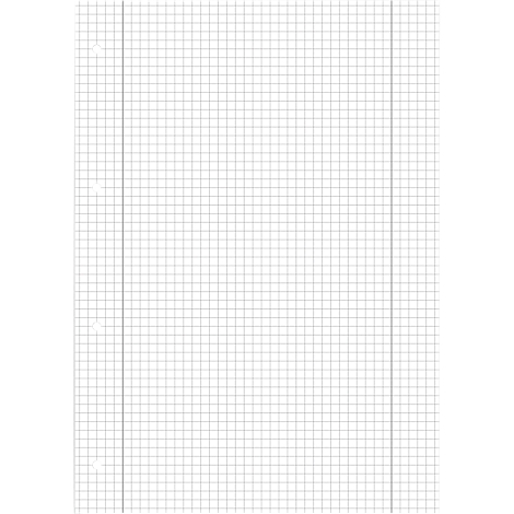 Ein Blatt kariertes Papier mit vertikalen Linien und Lochung am Rand.