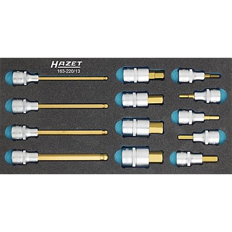 Boîte à outils avec des tournevis argentés, dorés et bleus. HAZET 163-220/13 est écrit en haut.