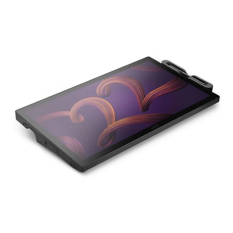 Wacom Cintiq Pro 22 - Digitalisierer mit LCD Anzeige - 47.6 x 26.8 cm - Multi-Touch - elektromagnetisch - 8 Tasten