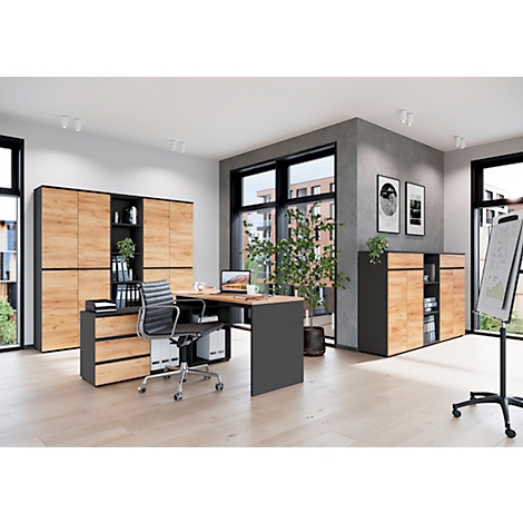 Büro mit Schreibtisch, Schrankwand und Pflanze. Graue und braune Holzmöbel, schwarzer Bürostuhl.