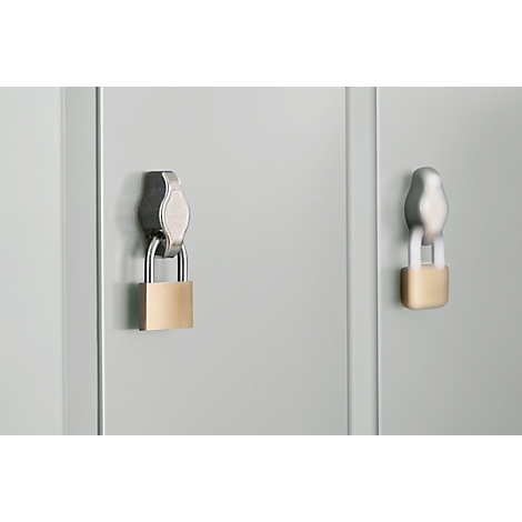 Two cabinet doors with silver handles and golden padlocks. The locks are closed.