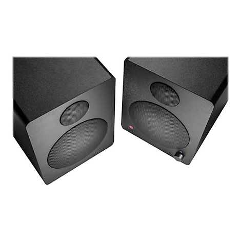 Zwei schwarze Lautsprecher mit ovalen Gittern und einem kleinen roten Punkt.